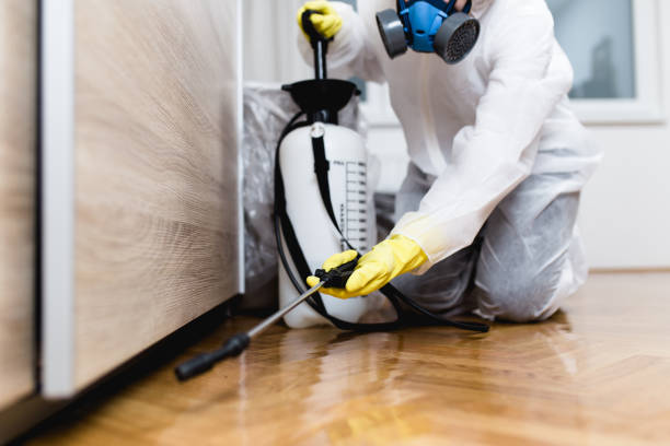 Best Emergency Pest Control  in Matoaca, VA