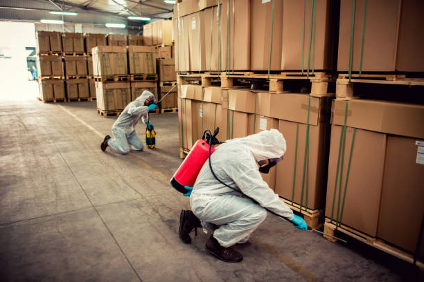 Flea Control Services in Matoaca, VA