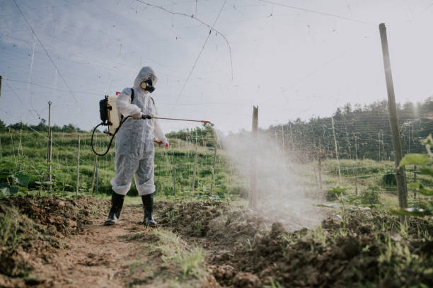 Best Affordable Pest Control Services  in Matoaca, VA