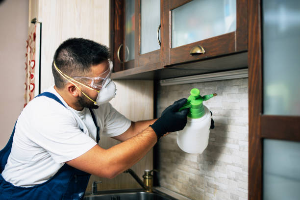 Best Mosquito Control Services  in Matoaca, VA