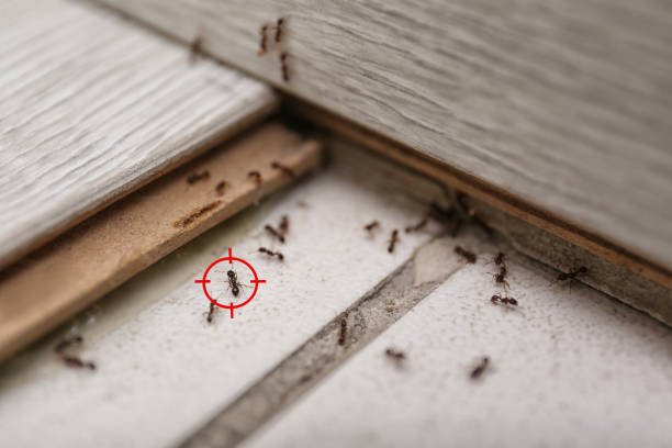 Wildlife Control Services in Matoaca, VA