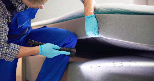 Best Affordable Pest Control Services  in Matoaca, VA