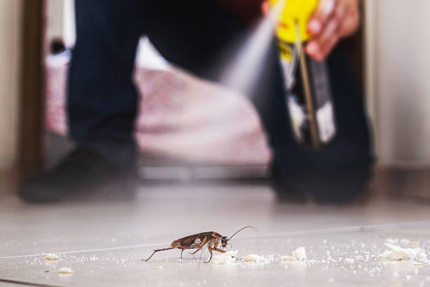 Best Pest Removal Services  in Matoaca, VA
