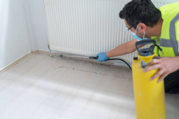 Best Local Pest Control Services  in Matoaca, VA