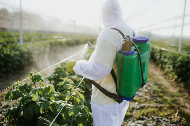Best Cockroach Control Services  in Matoaca, VA